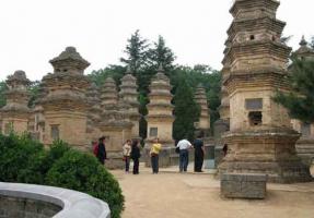 Shaolin Temple Pagodas